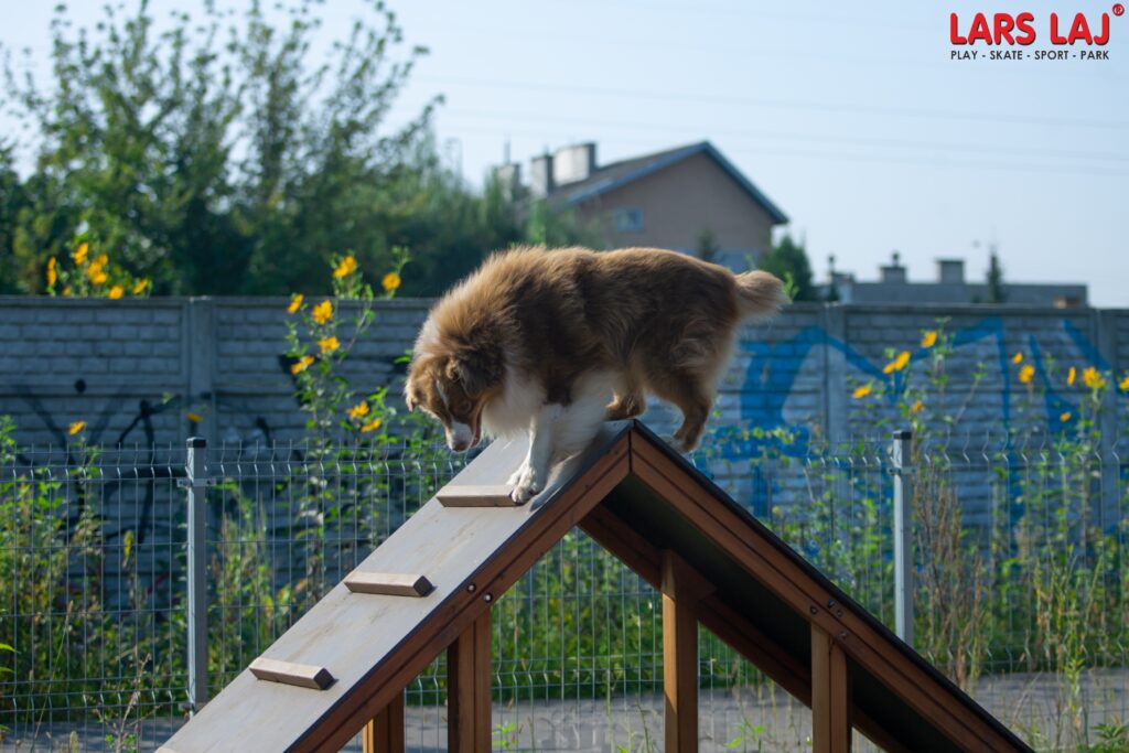 Lars Laj Kutyafuttató, kutyajátékok, Agility, Szlalom, akadálypálya, Alagút, rámpa, kutya mérleghinta