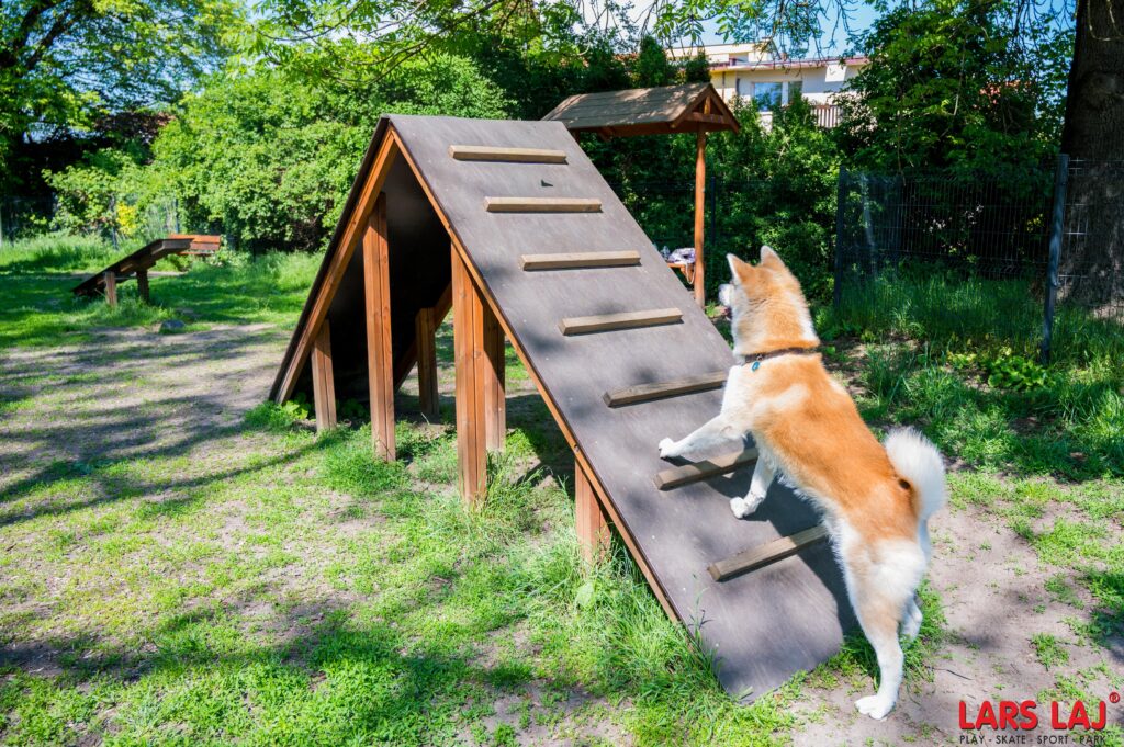 Lars Laj Kutyafuttató, kutyajátékok, Agility, Szlalom, akadálypálya, Alagút, rámpa, kutya mérleghinta