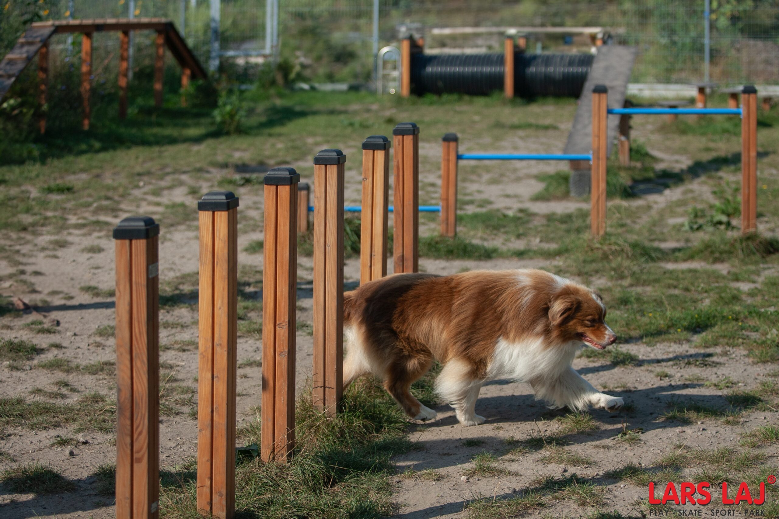 Lars Laj Kutyafuttató, benne kutyajátékok, Agility, Szlalom, akadálypálya, Alagút, rámpa, kutya mérleghinta